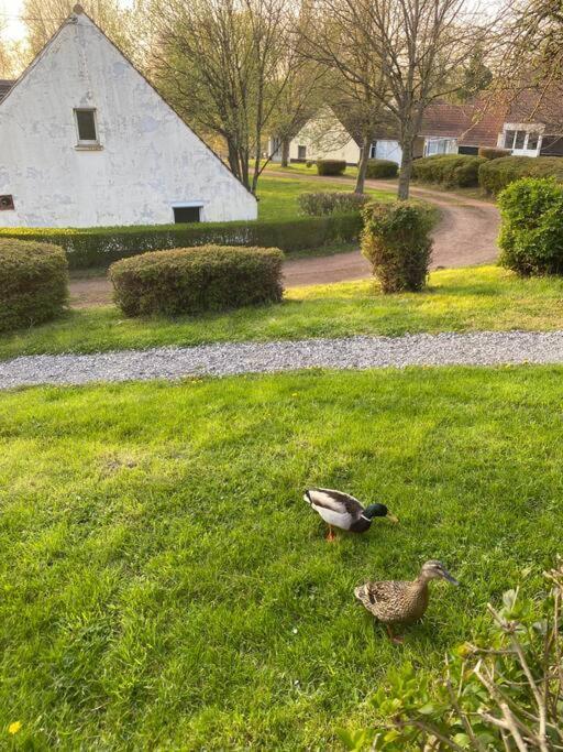 Le Nid Du Cygne Leilighet Houlle Eksteriør bilde